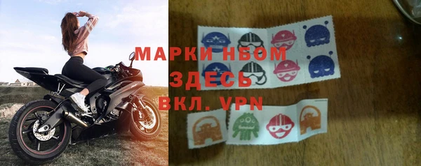 ГАЛЛЮЦИНОГЕННЫЕ ГРИБЫ Бородино