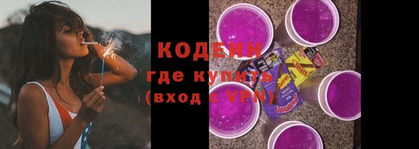 гидра Богданович