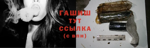 гидра Богданович