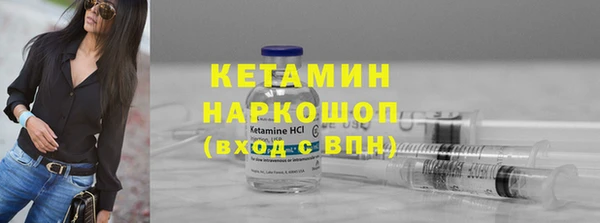 ГАЛЛЮЦИНОГЕННЫЕ ГРИБЫ Бородино