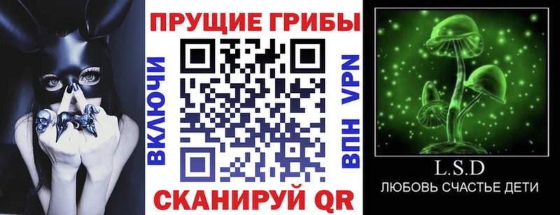 Псилоцибиновые грибы Magic Shrooms  МЕГА маркетплейс  Дагестанские Огни 